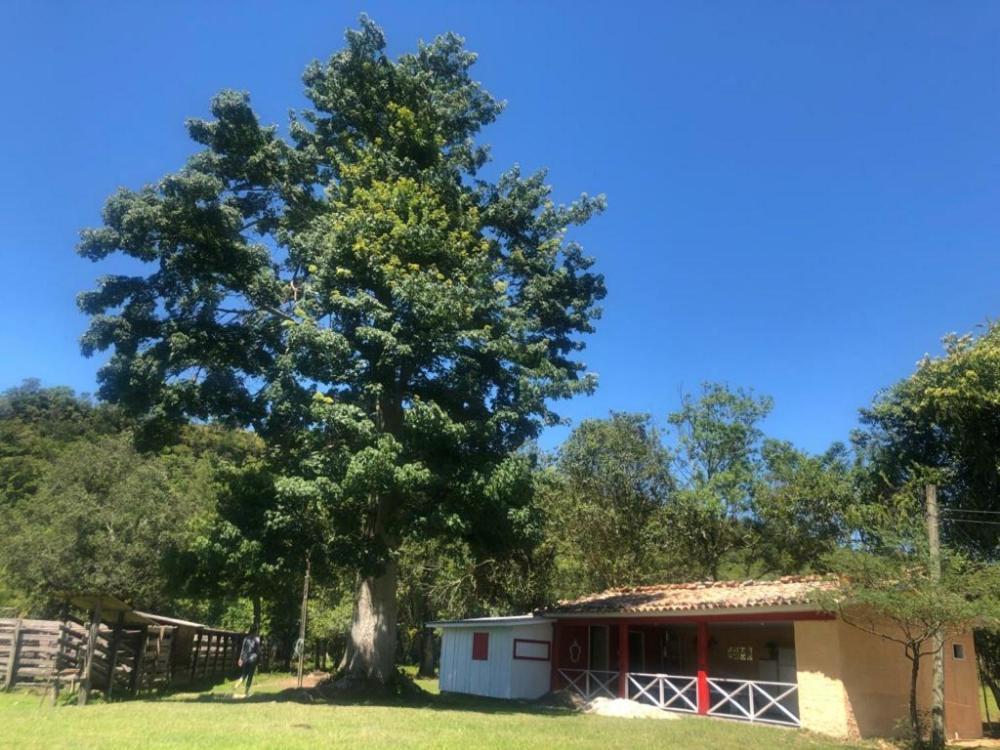 Campsite Fazenda Sao Matheus