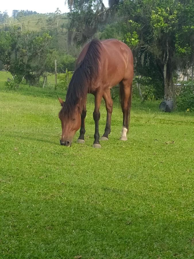 Fazenda Sao Matheus Campsite